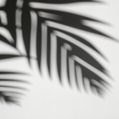 Shadow overlay effect of tree and leaves.