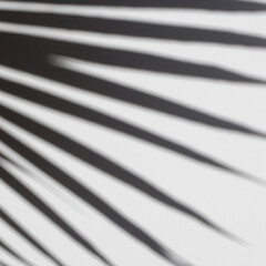 Shadow overlay effect of tree and leaves.