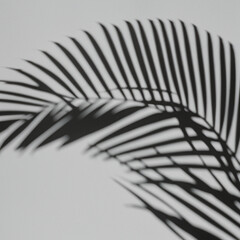 Shadow overlay effect of tree and leaves.