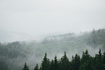 Mountains after the rain. Water from the forest evaporates. precipitation in the mountains. rain in...