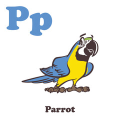 Parrot Alphabet Cartoon Character For Kids
