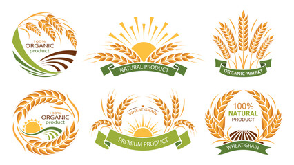 Wheat ears icons. Set of vector organic product labels. Grain, ear of wheat and wreath. Organic wheat, bread agriculture and natural eat, barley or rice millet. Isolated. Vector illustration - 717053250
