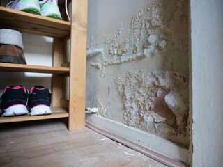 Fluffy white mould on internal wall inside of footwear storage closet, paint cracking and flakes falling on the floor.