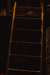 A dusty steel ladder in a moist basement