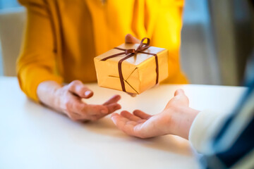 Female hands hold and give a nice packed gift.