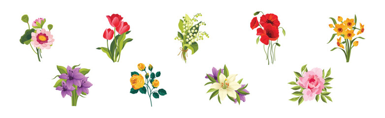 Obraz premium Blooming Flower on Green Stem as Garden Botany Vector Set