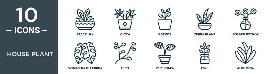 house plant outline icon set includes thin line peace lily, yucca, pothos, zebra plant, golden pothos, monstera deliciosa, fern icons for report, presentation, diagram, web design - obrazy, fototapety, plakaty