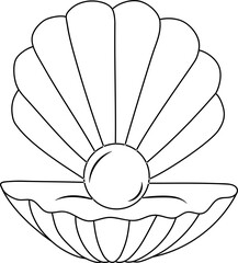 Seashells vector set. Hand drawn illustrations of engraved line. Collection of various mollusk sea shells different forms.