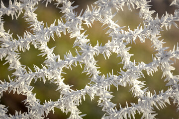 Frozen fence.. Details of rime , frozen over a mesh fence on a winter day.