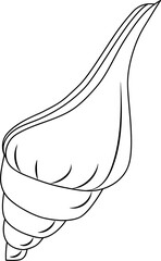 Seashells vector set. Hand drawn illustrations of engraved line. Collection of various mollusk sea shells different forms.