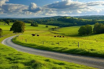 Papier Peint photo Bleu Jeans Countryside landscape, farm field and grass with grazing cows on pasture in rural scenery with country road, panoramic view