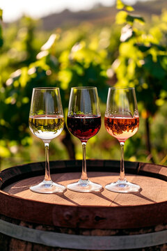 Three glasses of red, rose and white wine in the garden. Selective focus.