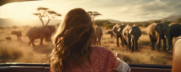 Woman from rear view on safari travell or elephant watching from off road car. - obrazy, fototapety, plakaty