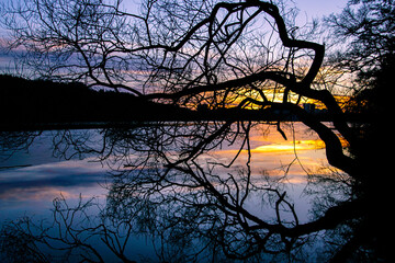 Silhouette bare tree by lake against sky during sunset