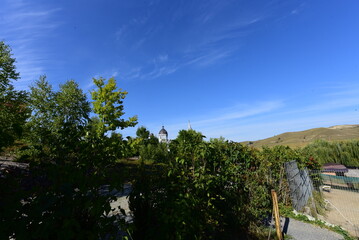 landscape with trees