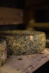 cheese in the cellar cooking food appetizer meal snack on the table copy space food background rustic top view