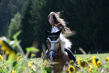 Pferdemädchen. Junges Mädchen mit Pferd im Sonnenblumenfeld