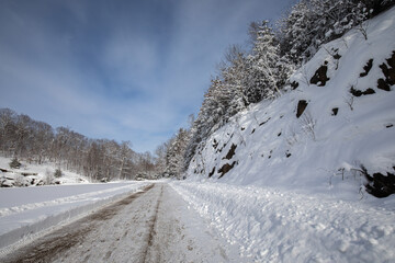 Snow covering rocky terrain and trees near a plowed walking track in winter in Muskoka Ontario