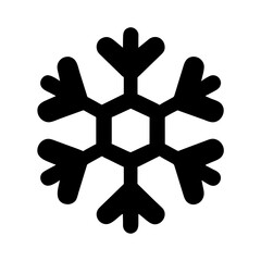 snowflake icon