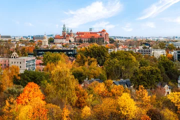Tuinposter Wawel castle and panoramic view of the city Krakow Poland. Landscape on coast river Wisla © alexanderuhrin