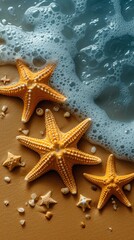Fototapeta na wymiar Starfish on Sandy Background