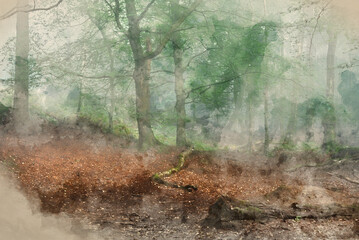 Digital watercolour painting of Stunning foggy forest late Summer landscape image with glowing mist in distance among lovely dense woodland