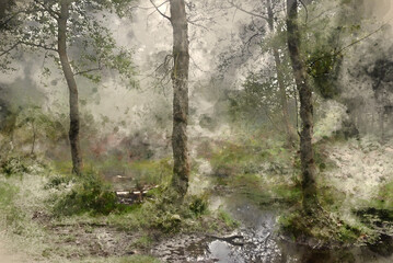 Digital watercolour painting of Stunning foggy forest late Summer landscape image with glowing mist in distance among lovely dense woodland - 717108866