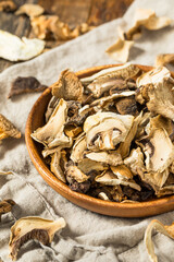 Organic Raw Dried Mushrooms
