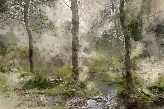 Digital watercolour painting of Stunning foggy forest late Summer landscape image with glowing mist in distance among lovely dense woodland