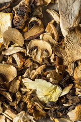 Organic Raw Dried Mushrooms