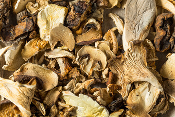 Organic Raw Dried Mushrooms
