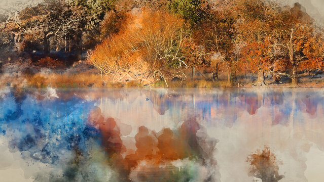 Digital watercolour painting of Beautiful colorful Autumn Fall lakeside sunrise misty morning vibrant landscape image