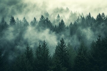 Misty landscape with fir forest in hipster vintage retro style - obrazy, fototapety, plakaty