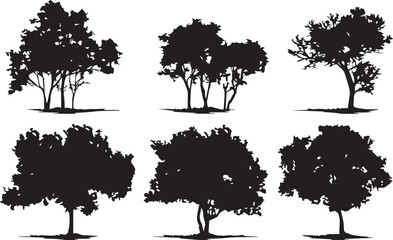 Set Trees. Hand drawn vector illustration