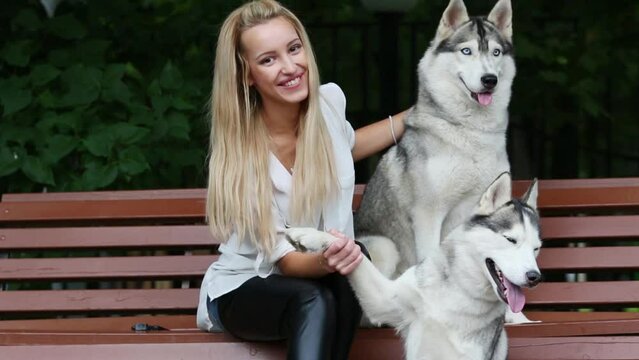 Woman holding dogs Husky paw and other stroking on bench in park.