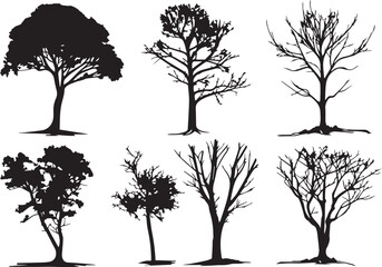 Obraz premium Set Trees. Hand drawn vector illustration