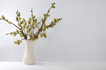 Holiday concept with delicate willow flowers, spring flower arrangement, still life or banner with...