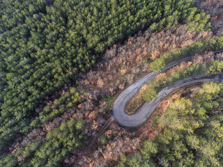 Top-down view of an hairpin bend in the middle of a forest with green and orange trees - 717131231