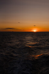 Traveling and exploring Iceland landscapes and famous places. Autumn tourism by Atlantic Ocean and mountains. Outdoor views on beautiful cliffs and travel destinations.