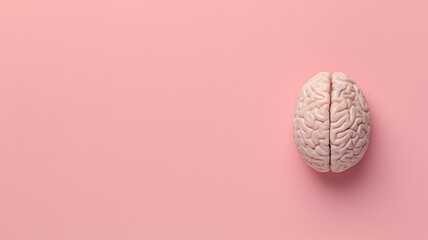 Human brain model on a pastel pink background