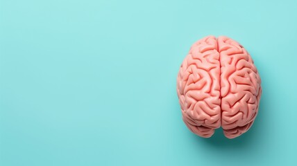 Human brain model against a light blue background