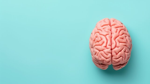 Human brain model against a light blue background - Powered by Adobe