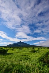 利尻島の夏景色