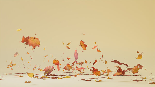 Fototapeta Seasonal Background with Autumn Leaves blowing in the wind. Cream Banner with copy-space.