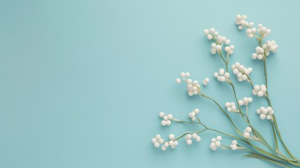 White berries on branches against a light blue background