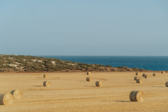 The fields of Cape Greco Peninsula