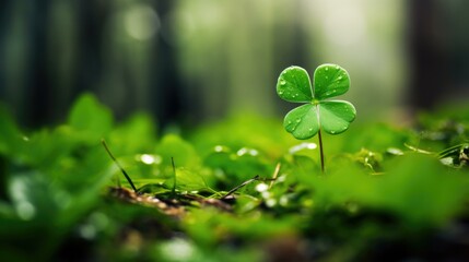 A single green clover is growing in the middle of a forest. Generative AI. - Powered by Adobe