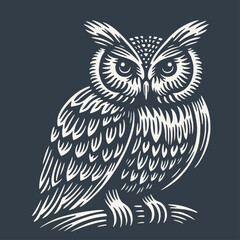 Owl. Vintage woodcut style vector illustration on dark background.
