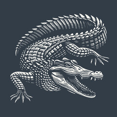 Crocodile. Vintage woodcut style vector illustration on dark background.