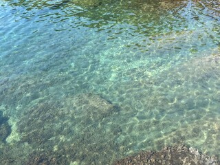 Transparent sea water with seaweed on the seabed.